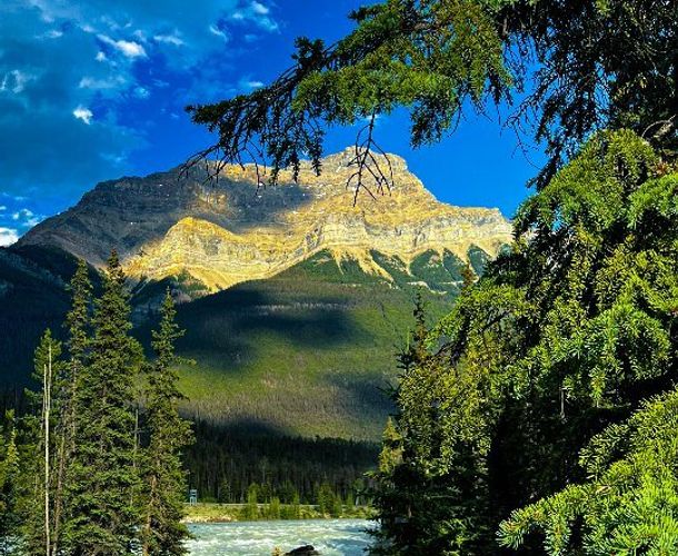 Wedding ring close-up