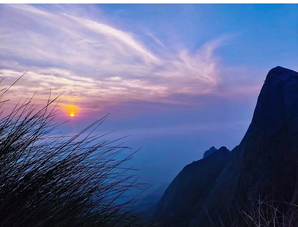 Reception decor and lights
